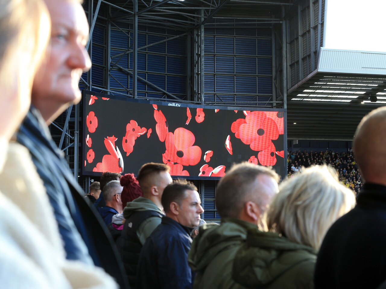 Poppies on the big screen at The Hawthorns 