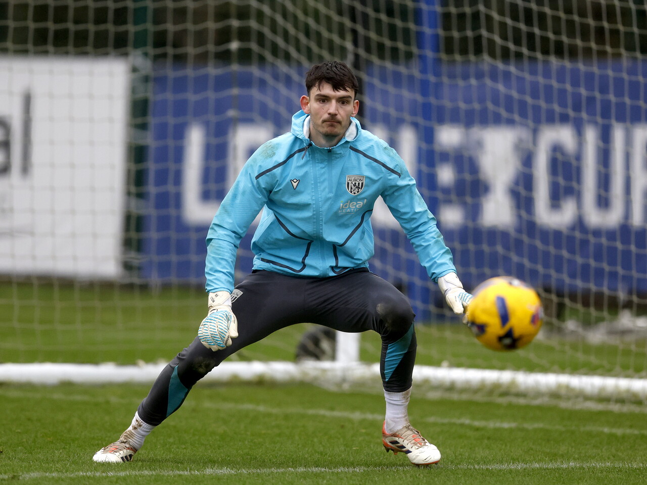 Max O'Leary diving in training