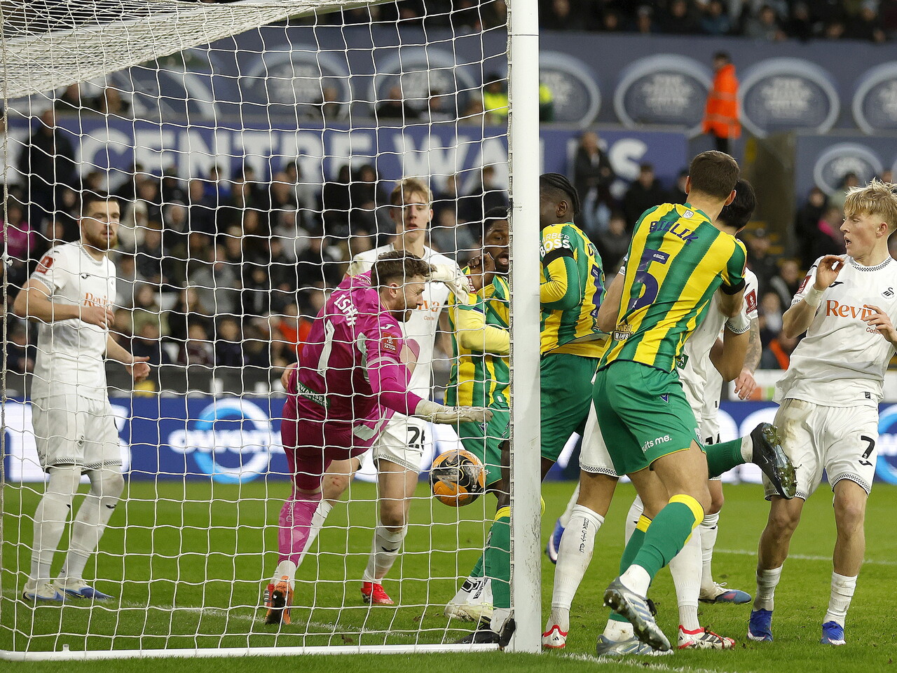 Josh Maja scores for Albion against Swansea.
