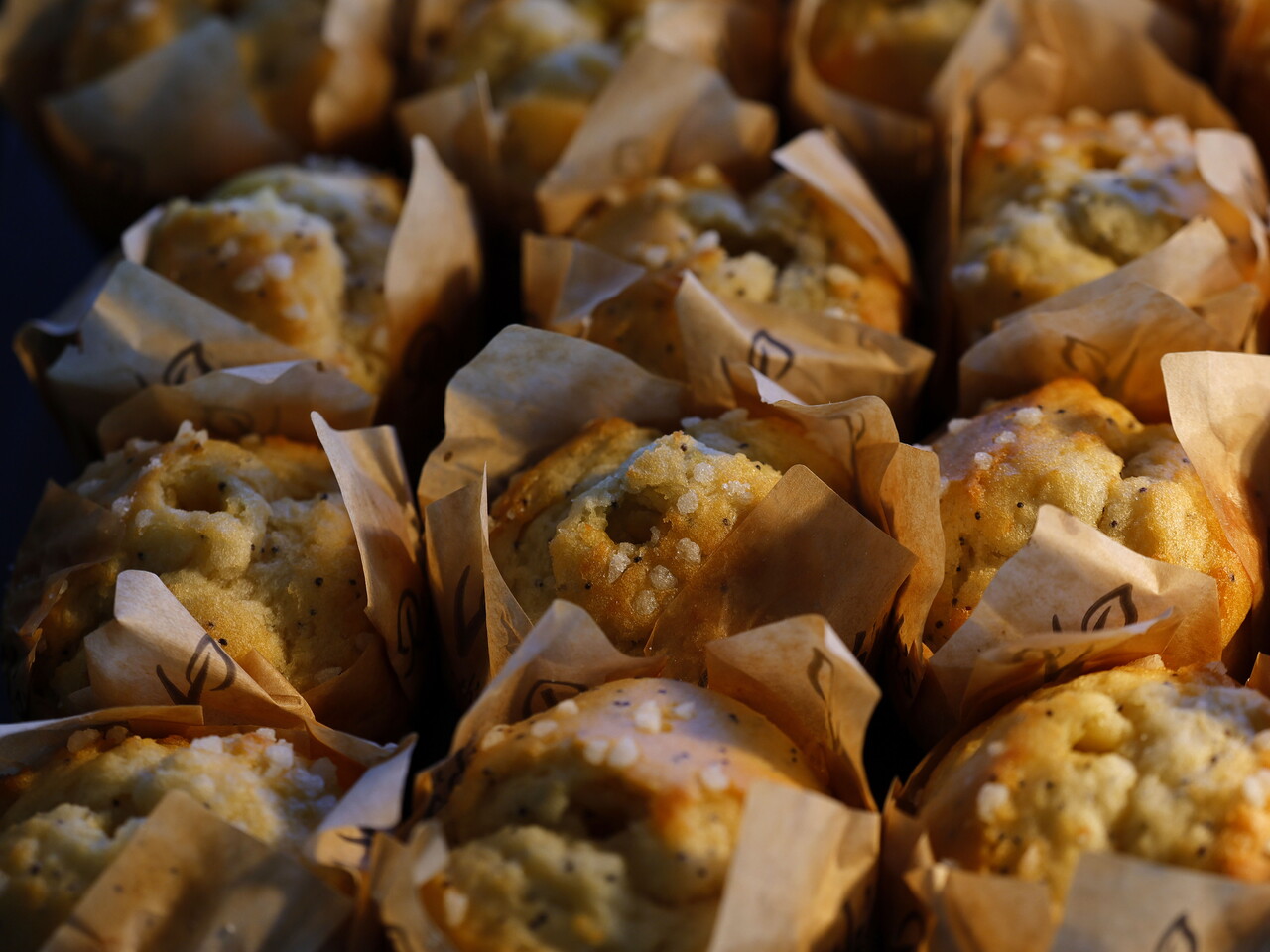 Albion Connect 26.03.2026