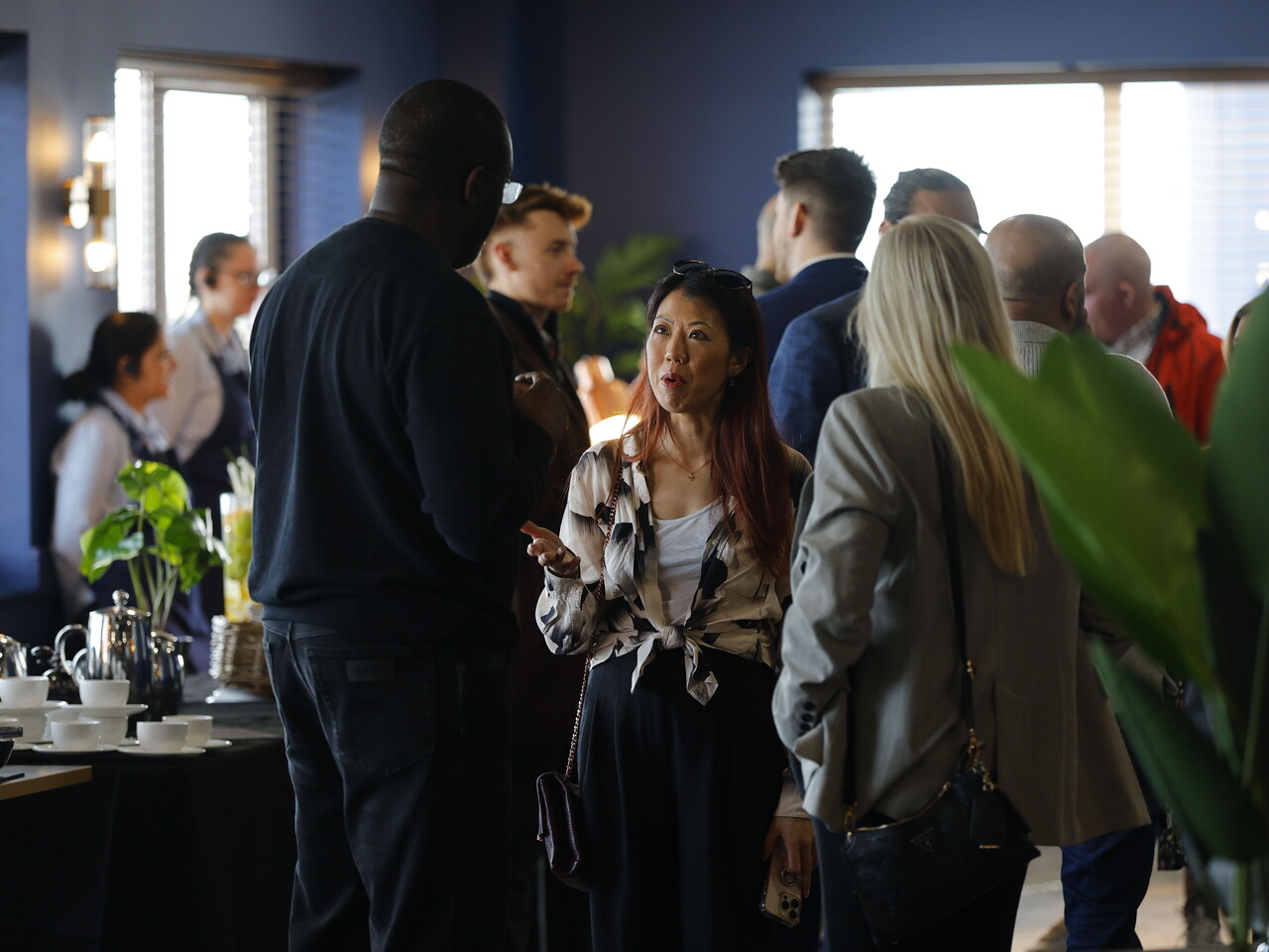 Albion Connect 26.03.2026