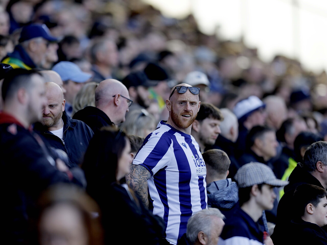 Albion fans at Blackburn