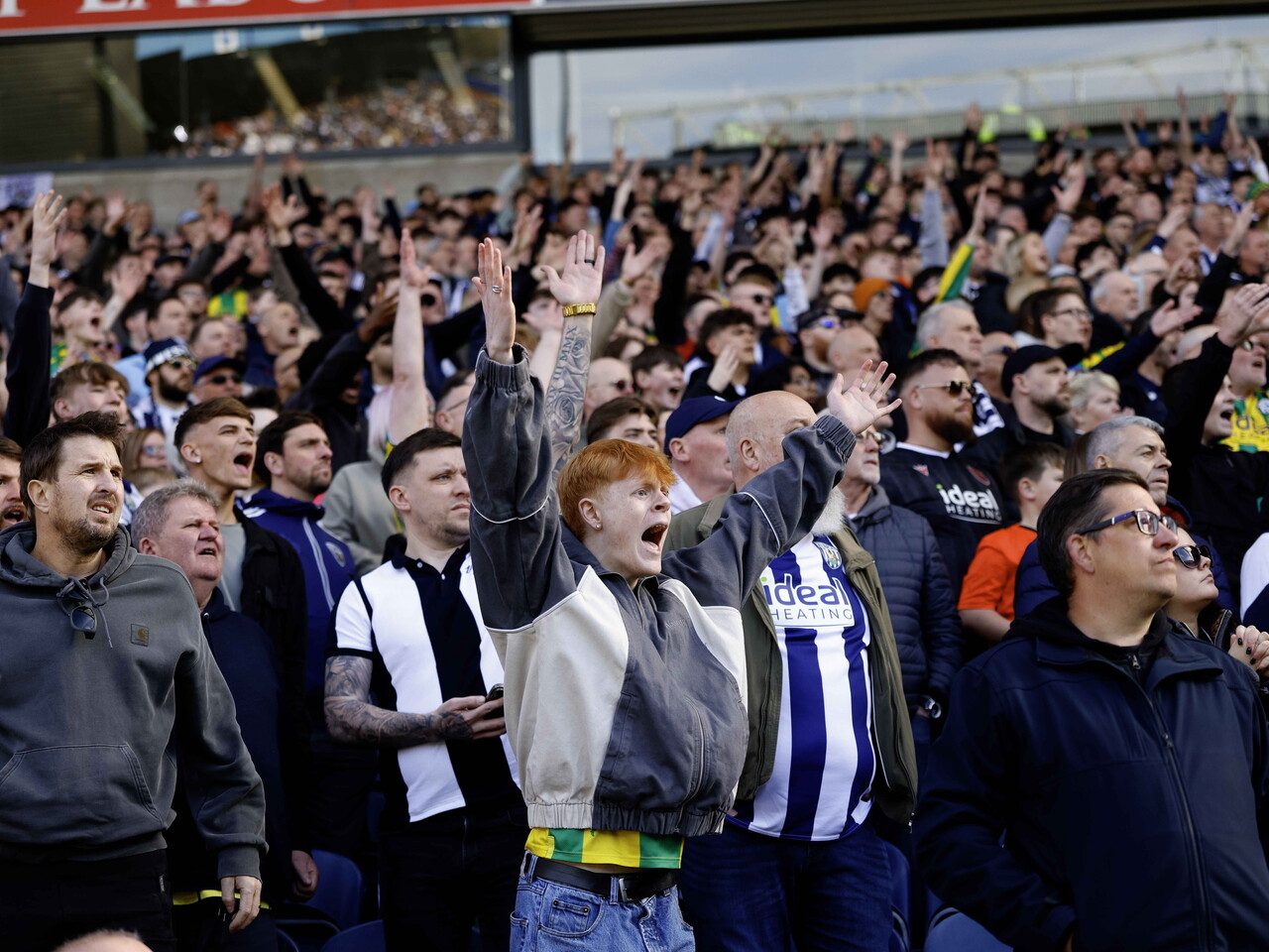 Albion fans at Blackburn