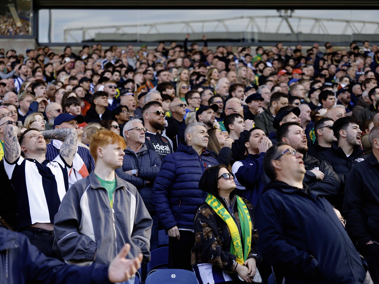 Albion fans at Blackburn