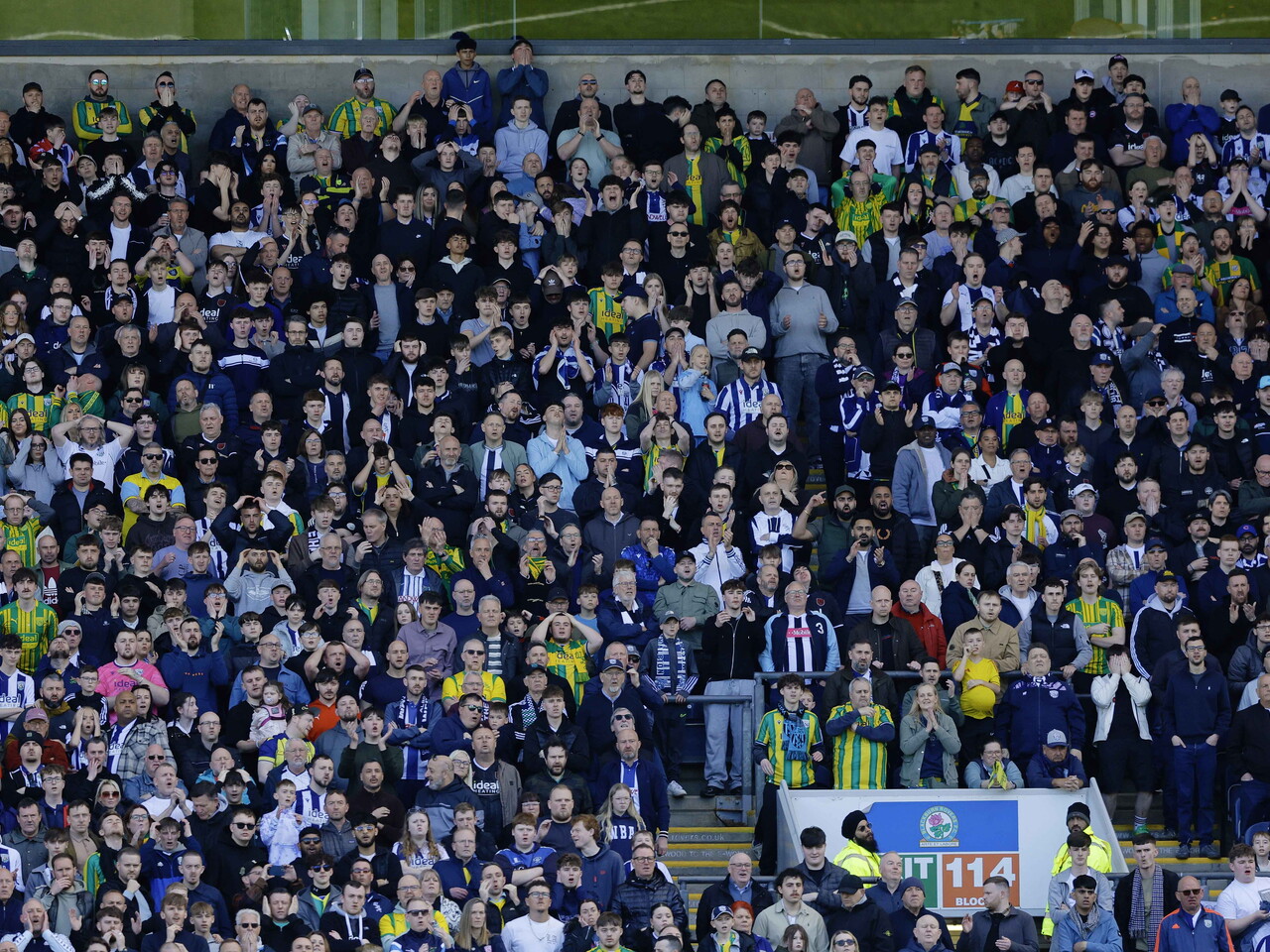 Albion fans at Blackburn