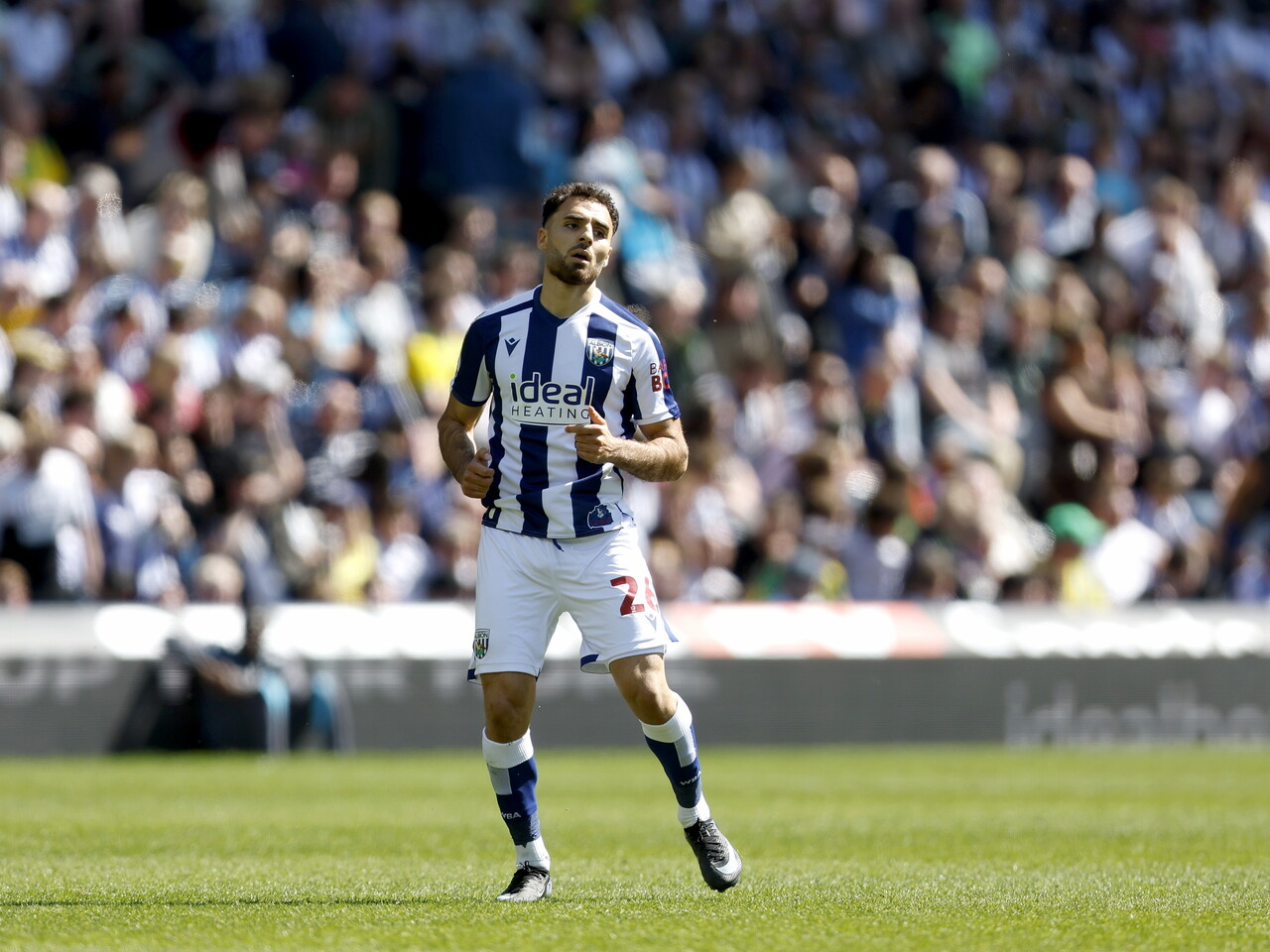 Tammer Bany in action against Ipswich 