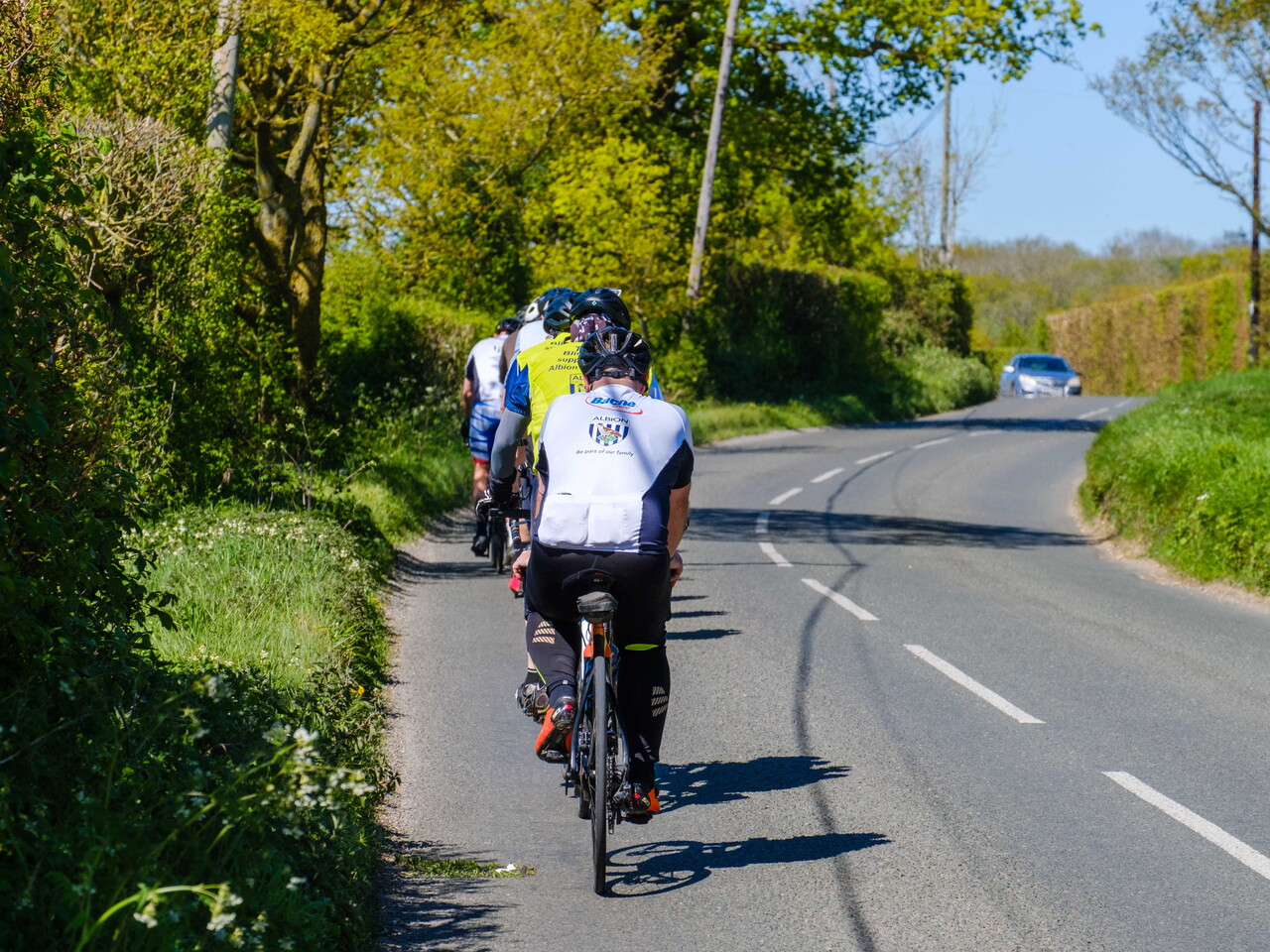 Backs of cyclists riding down a country road.