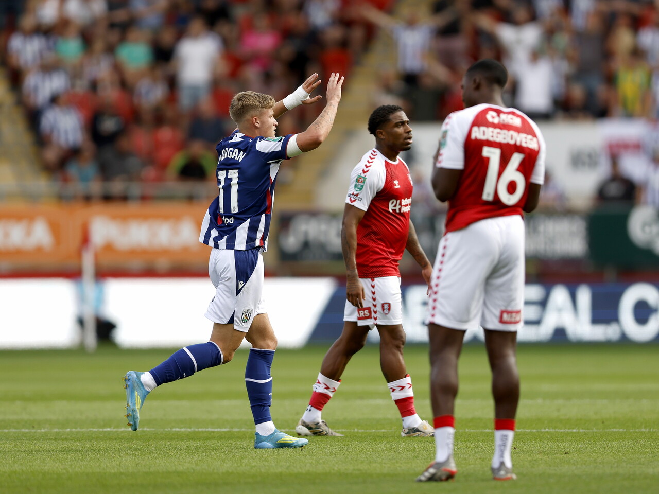 Albion celebrate JJ Morgan's goal against Rotherham.