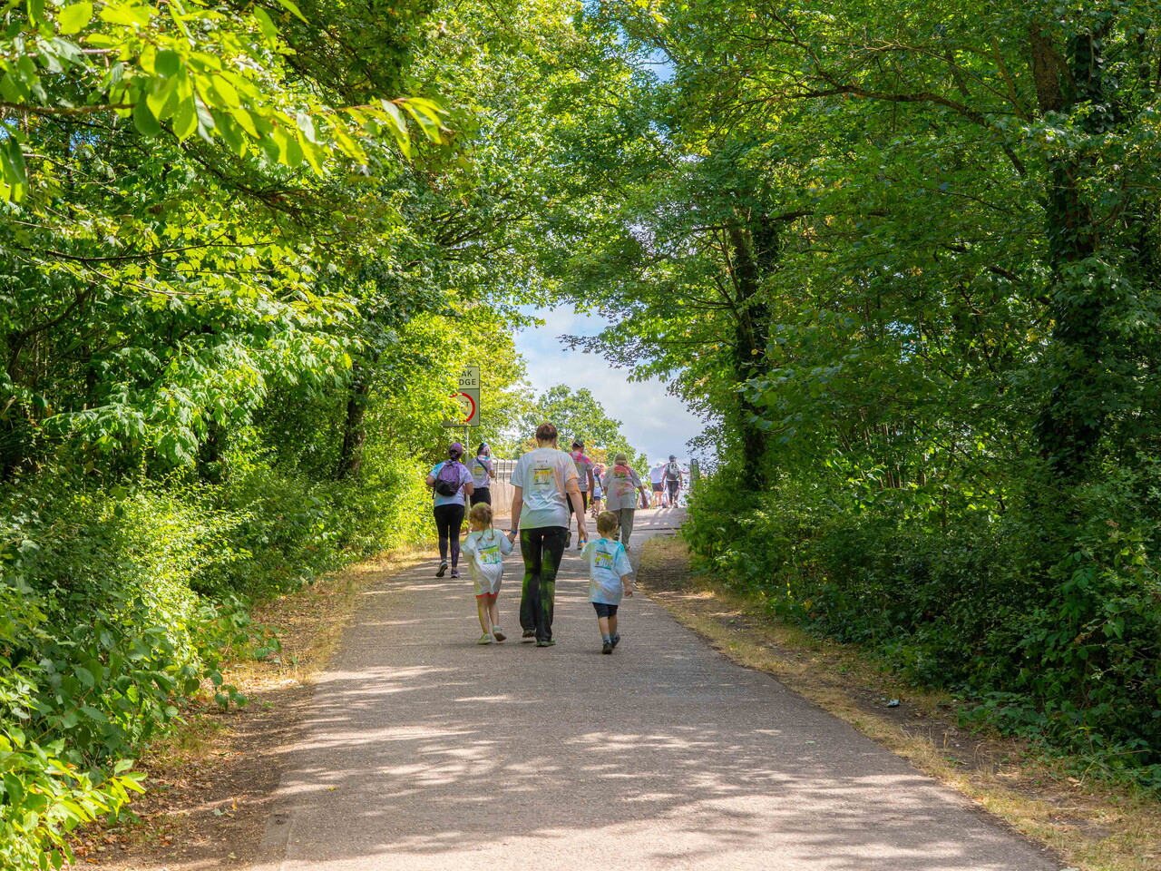 Participants walk and run along a tree-lined trail.