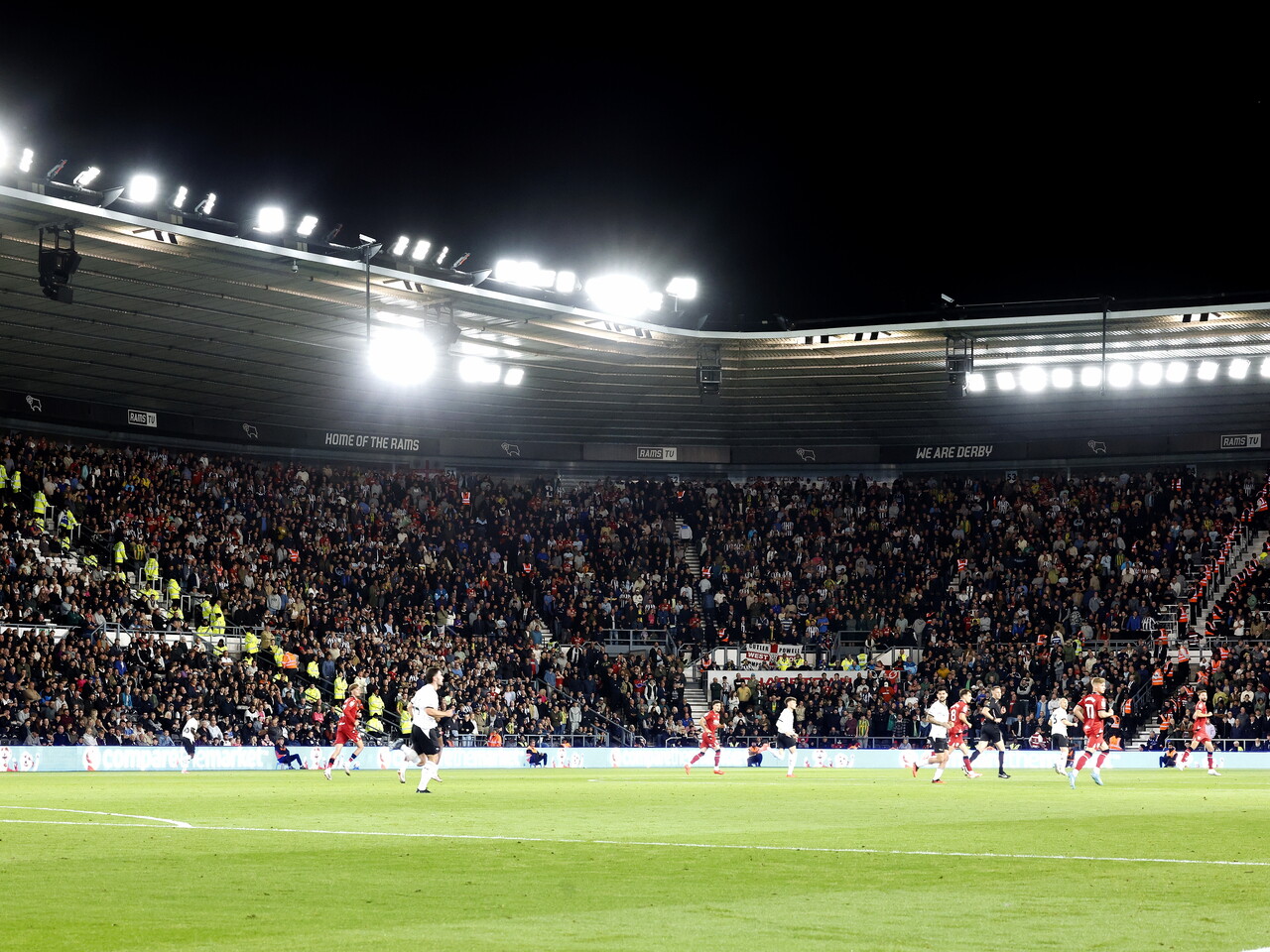 Albion fans at Pride Park