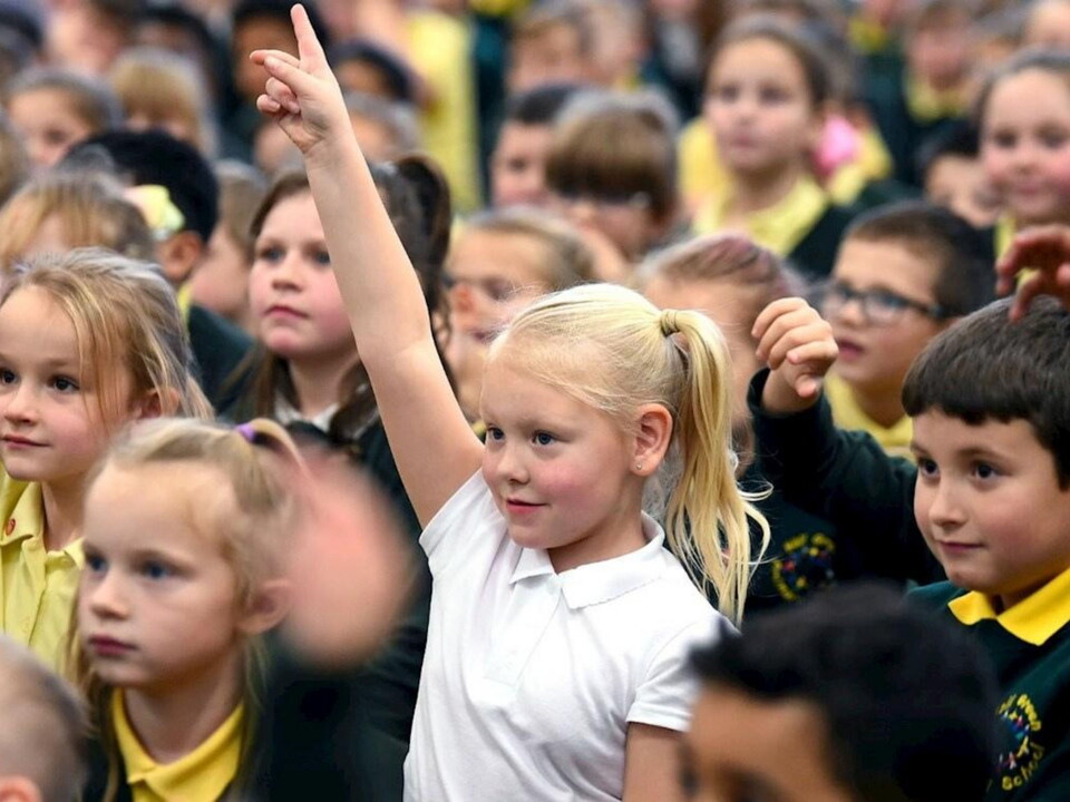 TAF Safeguarding thumbnail