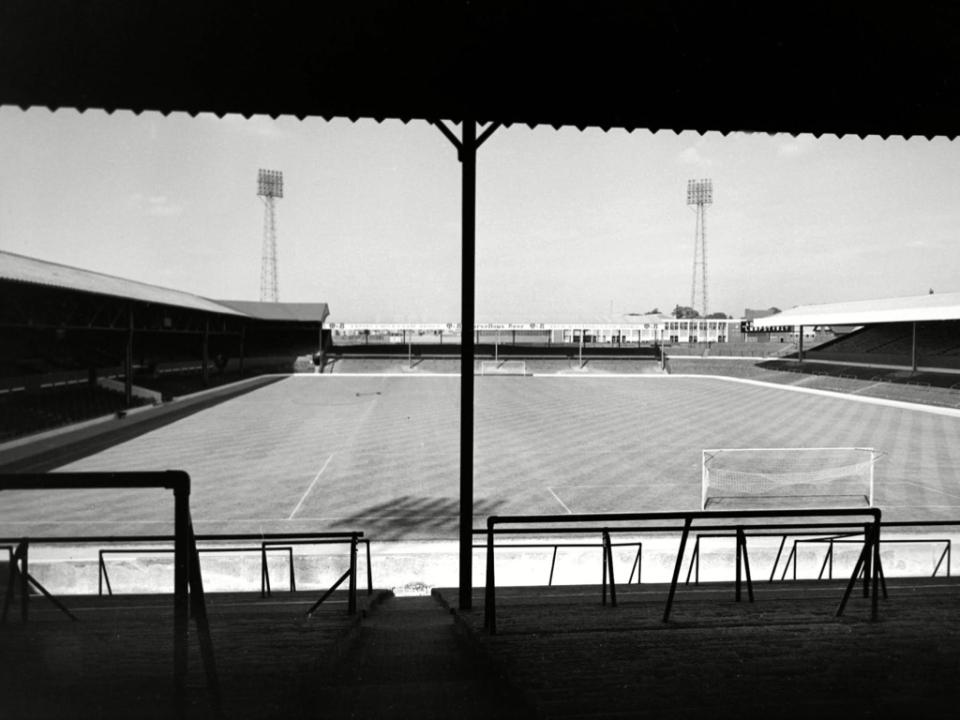 hawthorns