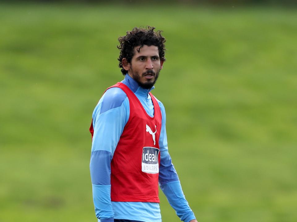 Hegazi leaves