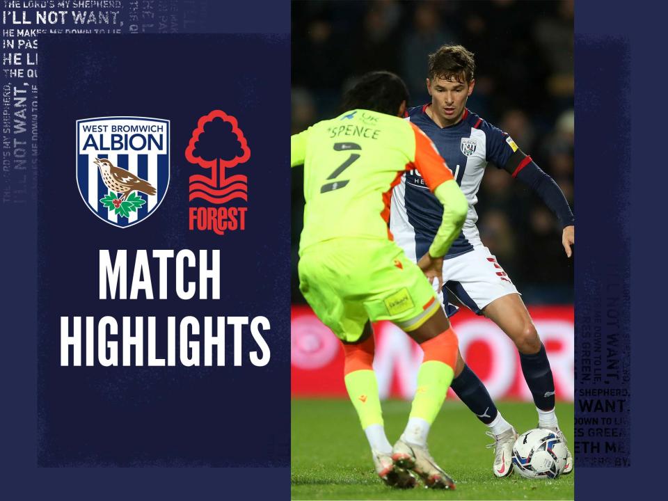 Forest highlights