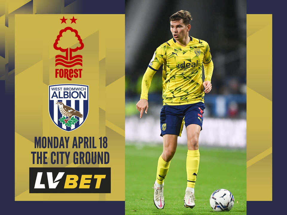 Forest Preview A