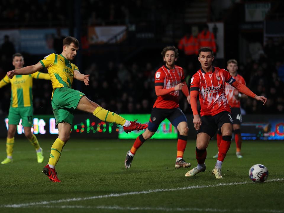 Jayson Molumby equalises for Albion v Luton