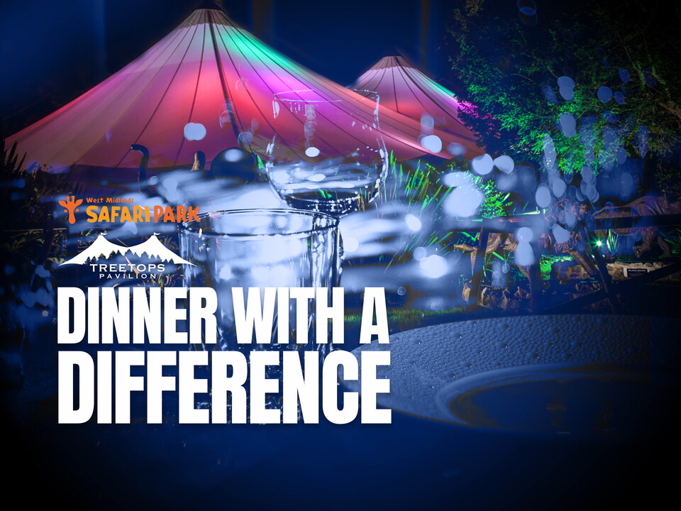 Dinner with a Difference graphic