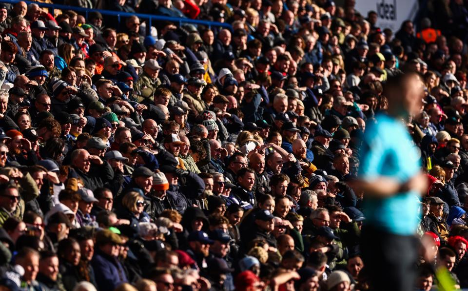 A general view of several Albion fans watching a game in the stand at The Hawthorns 