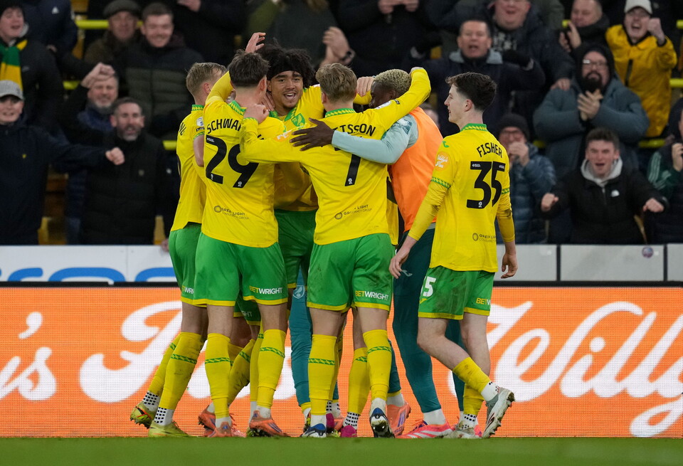 Norwich players celebrate a goal