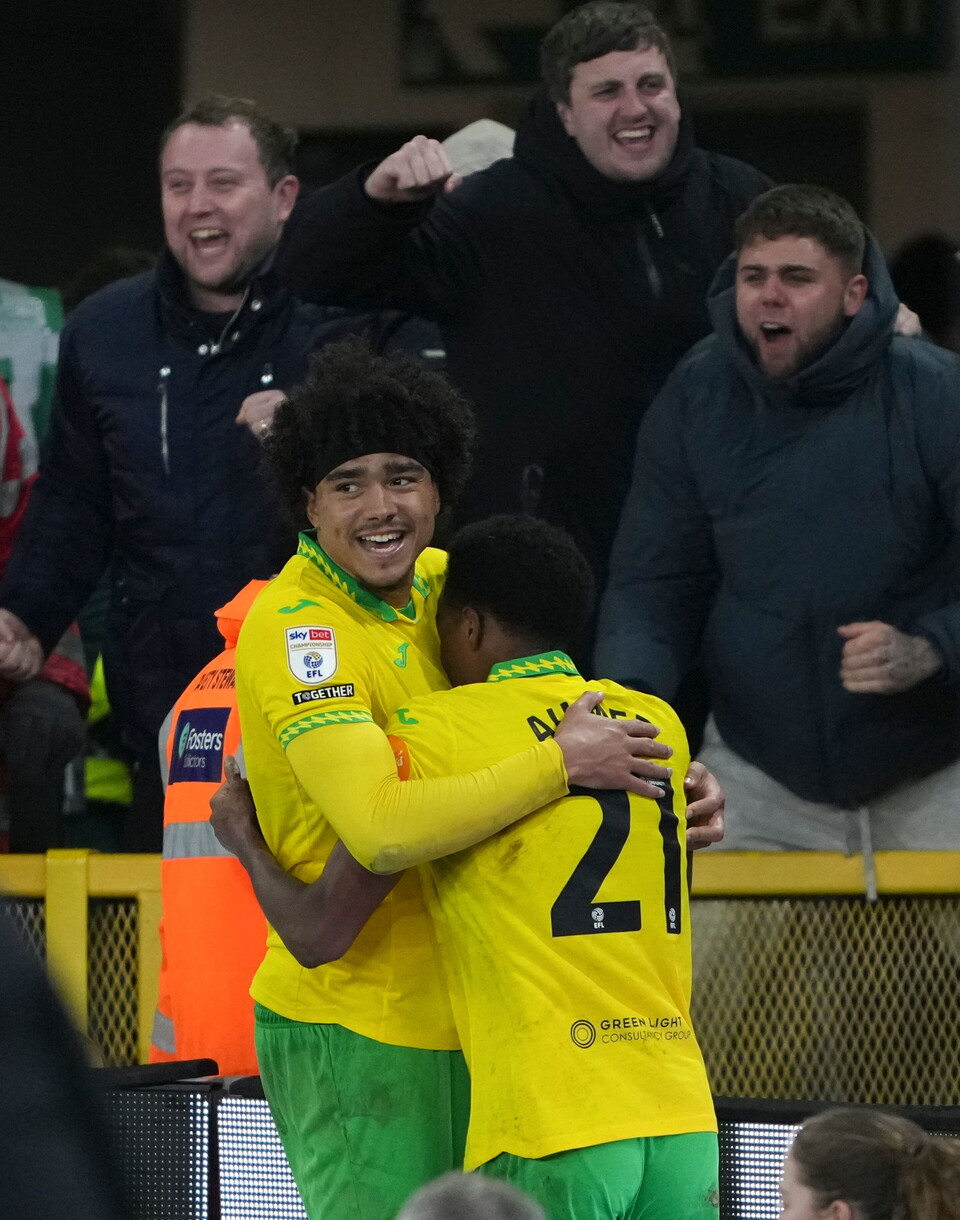 Norwich players celebrate a goal