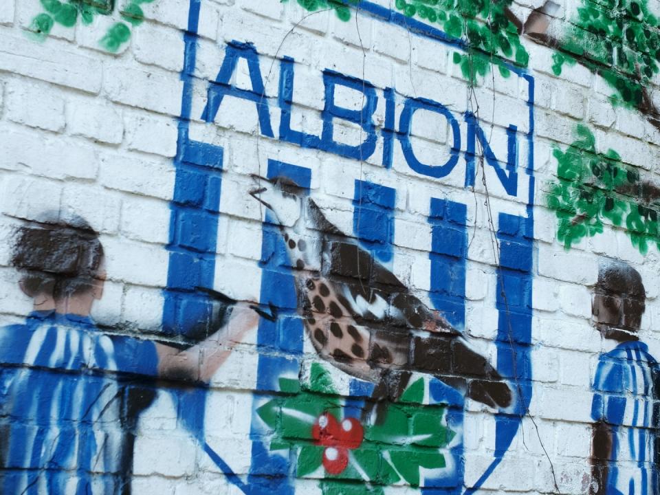 Albion Badge