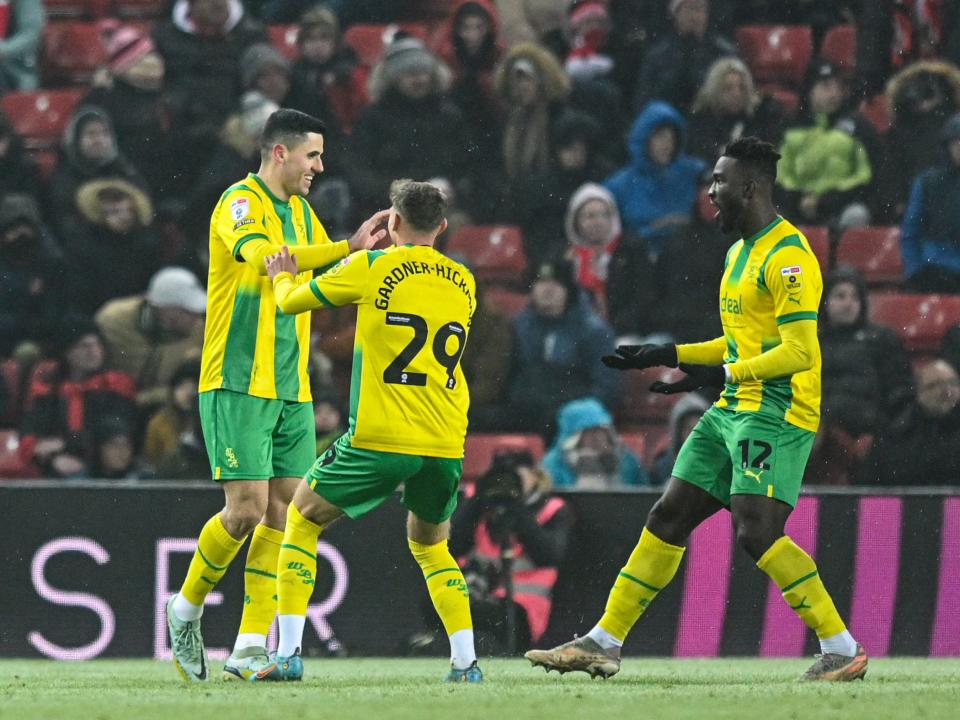Tom Rogic celebrates scoring at Sunderland