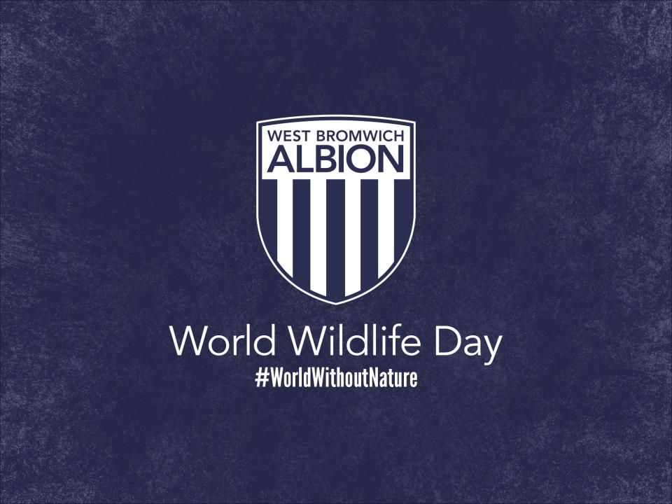 World Without Nature campaign Albion badge without nature