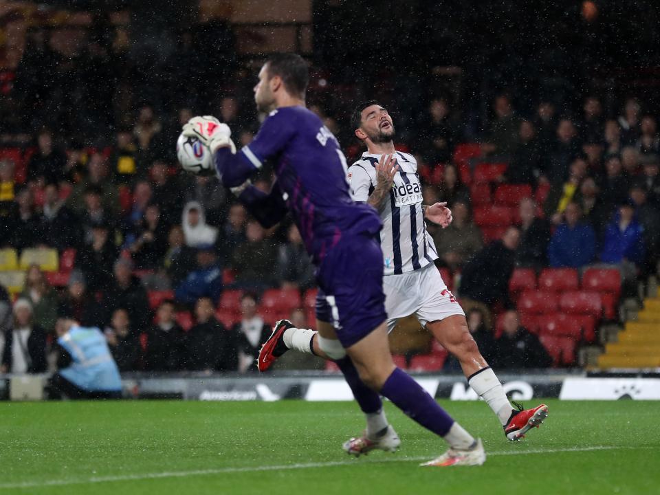Albion in action against Watford.