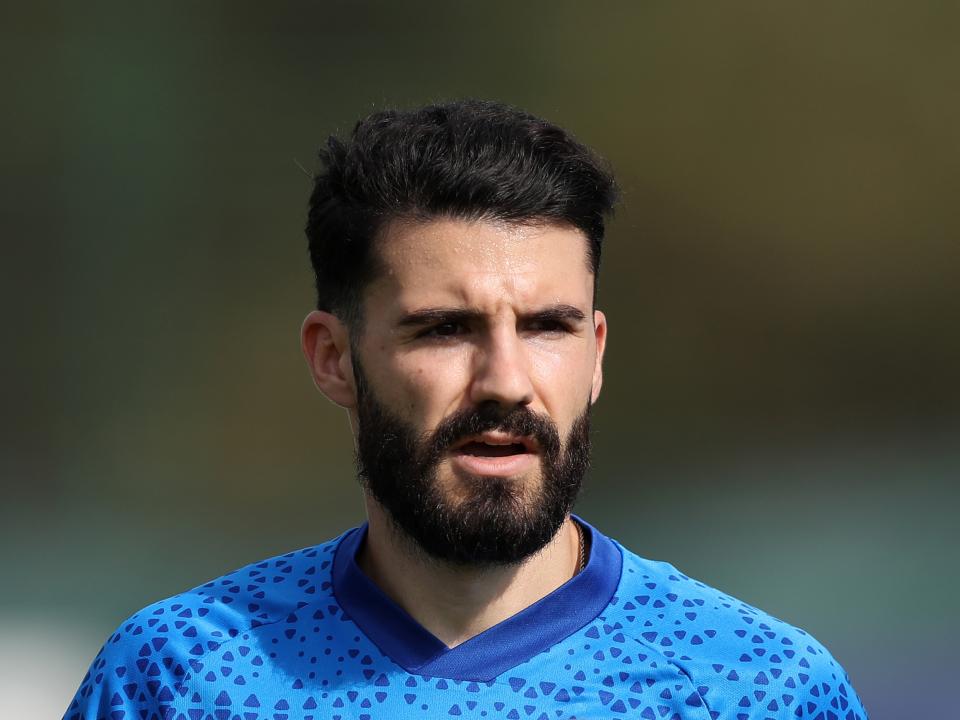 Pipa looking forward during training 