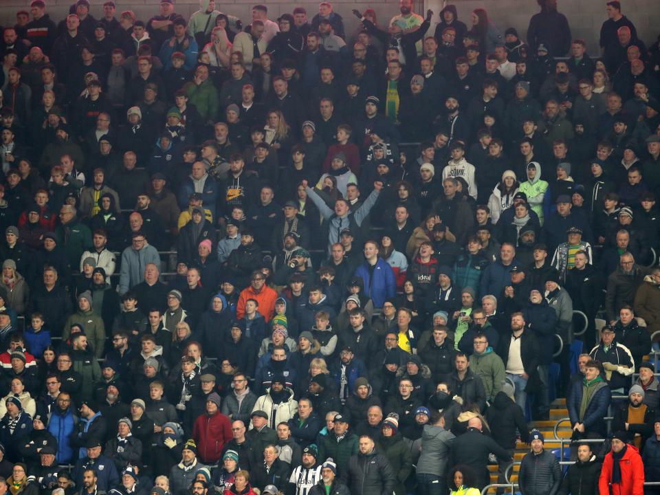 Albion supporters in the crowd at the Cardiff City Stadium