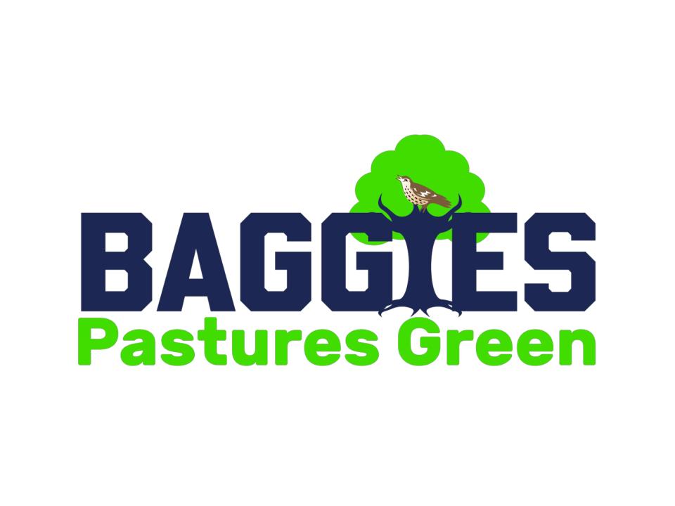 Baggies Pastures Green