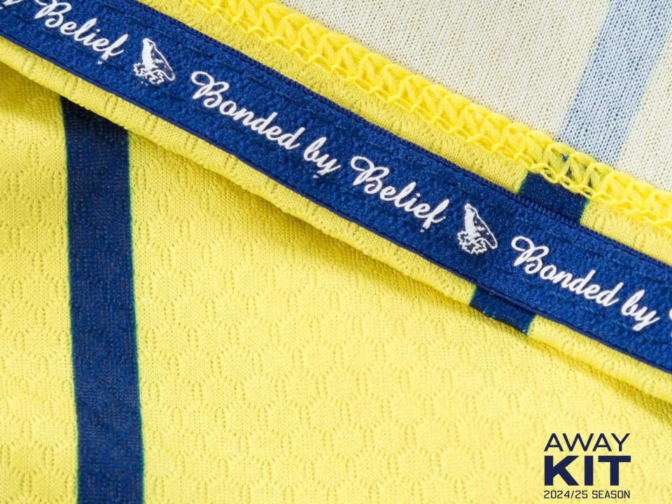 A close-up image of the 2024/25 away kit 