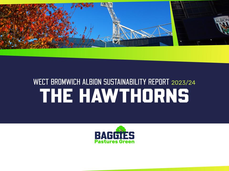 The Hawthorns - Baggies Pastures Green
