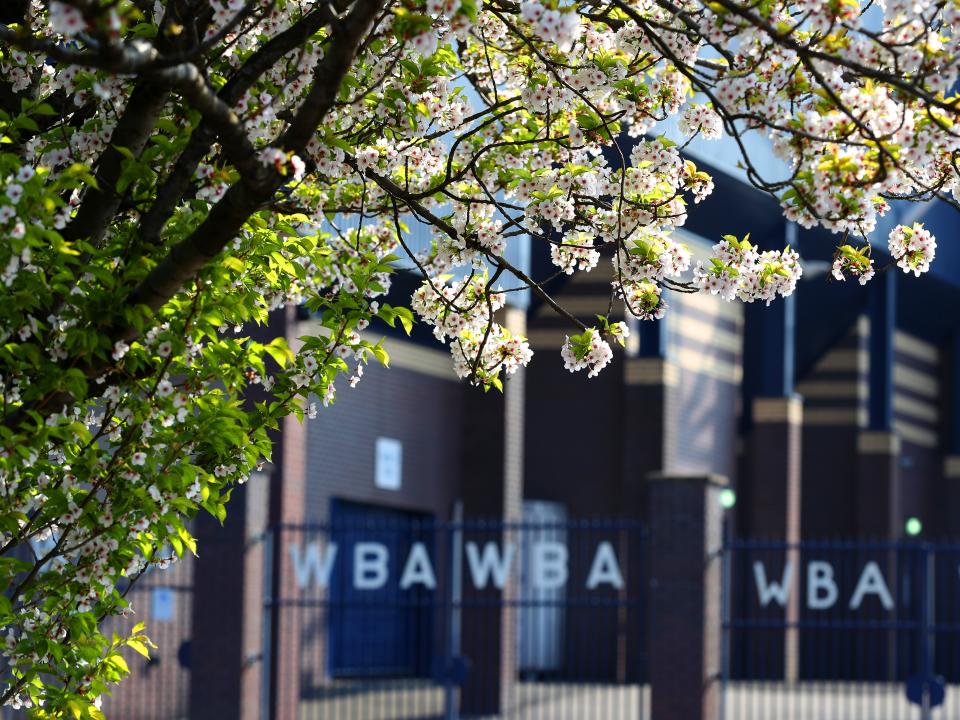An image of the green leaves from a tree with The Hawthorns behind