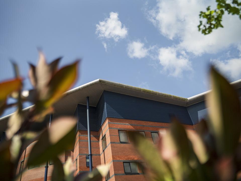 A photo of Hawthorn trees being planted out Albion's Hawthorns stadium
