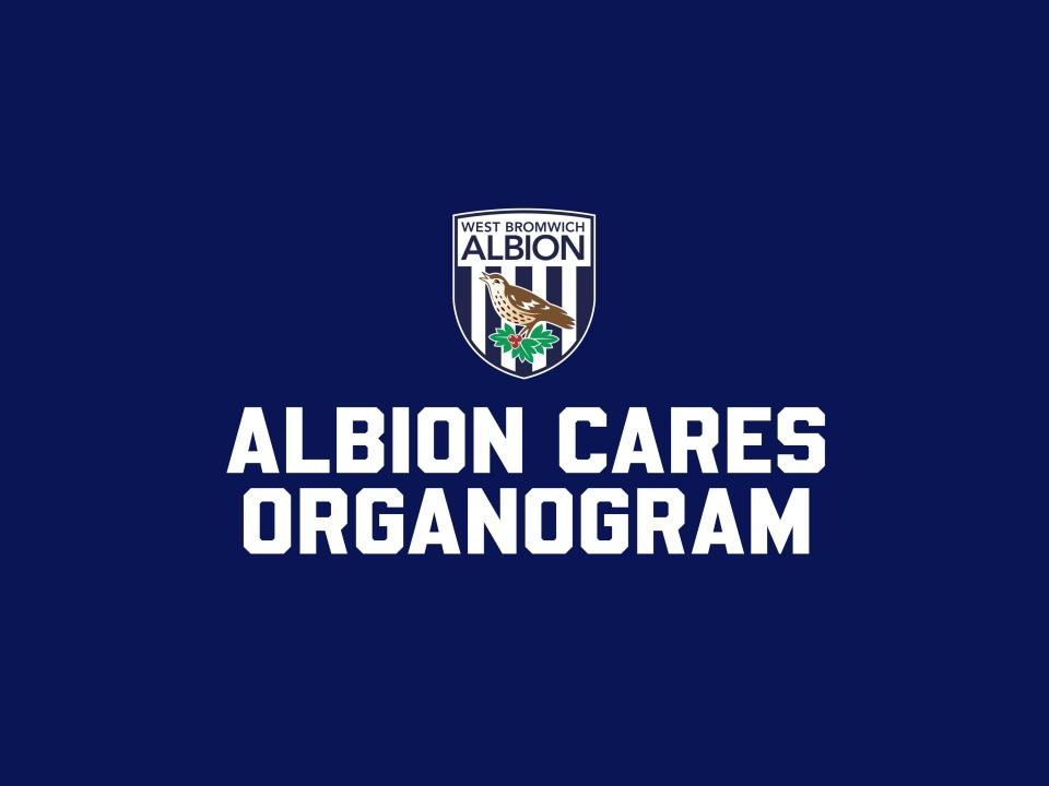Albion Cares Organogram