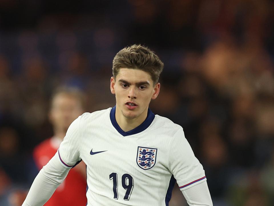 A photo of Albion forward Tom Fellows wearing the English home kit