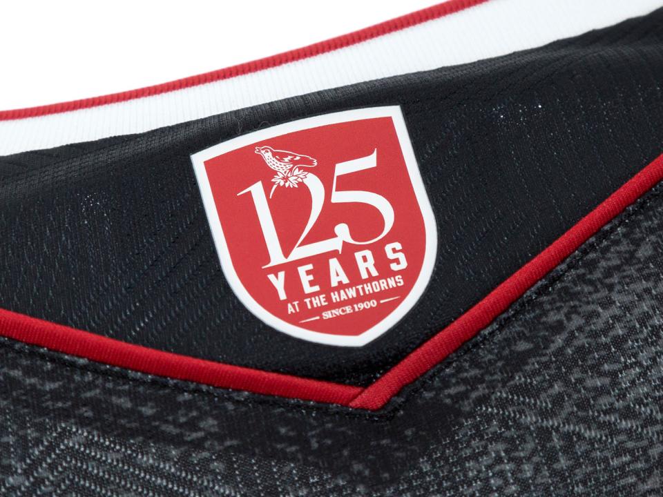 An image of the 125 logo on Albion's black and red third kit