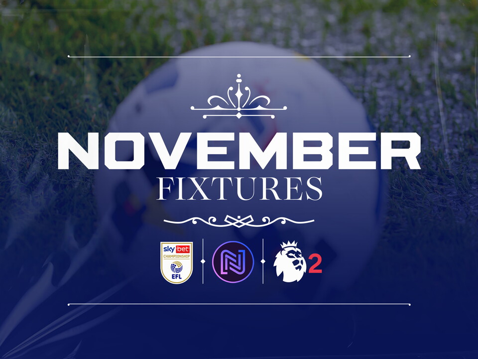 Albion's November fixtures graphic 
