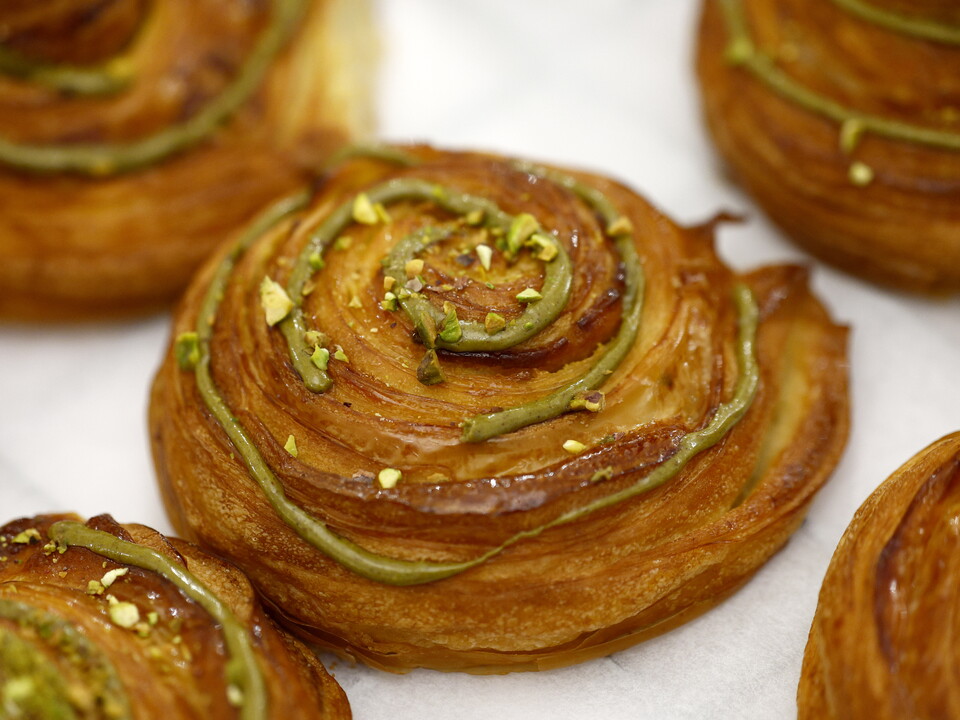 Albion Connect at The Botanical Gardens