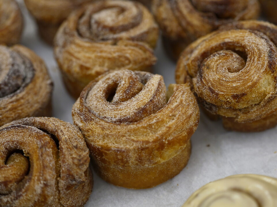 Albion Connect at The Botanical Gardens