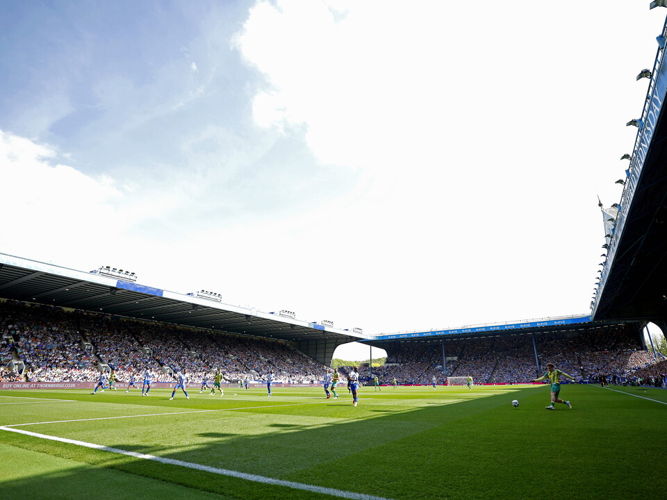 A photo of Albion in action at Hillsborough.