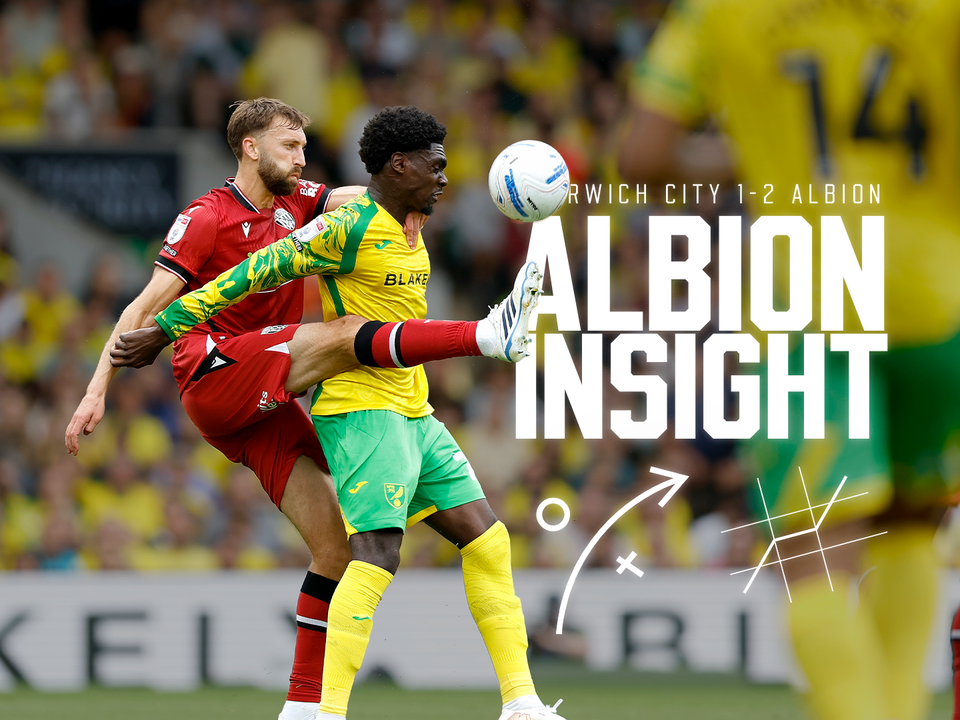 Albion Insight.