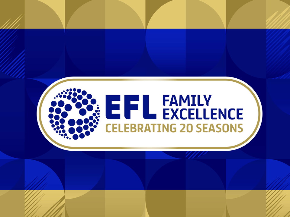 A graphic for the 20th anniversary of EFL Family Excellence