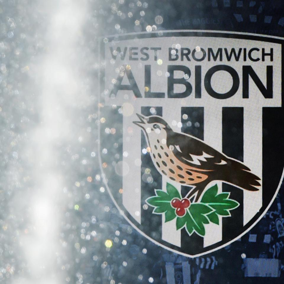 Water from the sprinkler with an Albion badge in the background