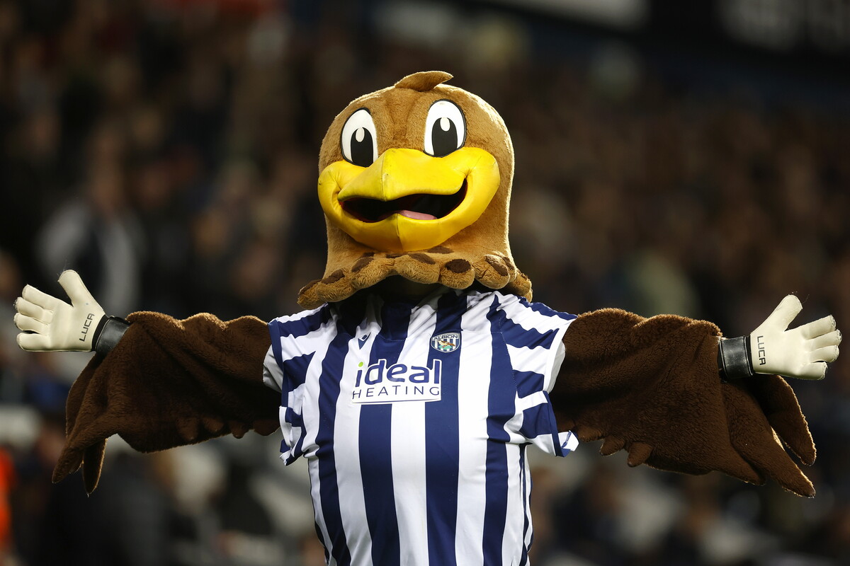 Baggie Bird